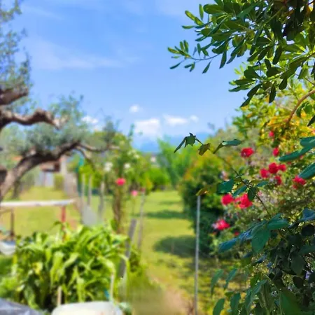 Il Posticino House In Marina, Garden And Veranda *